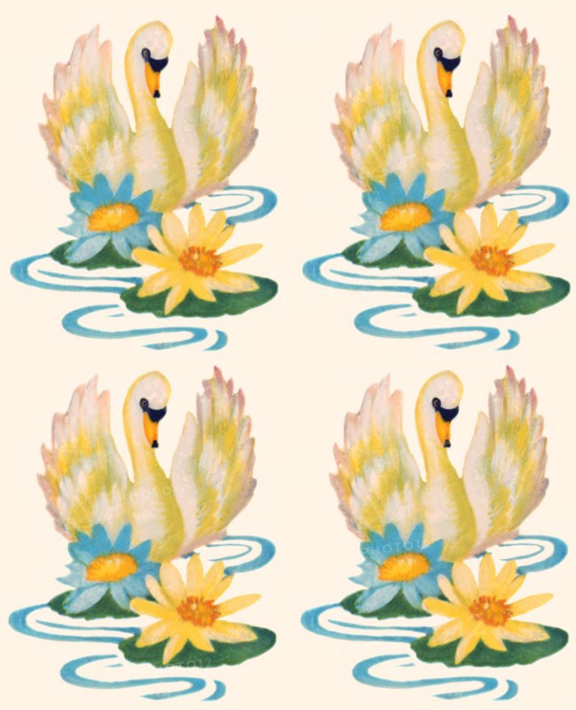 Swan and Flowers 1935