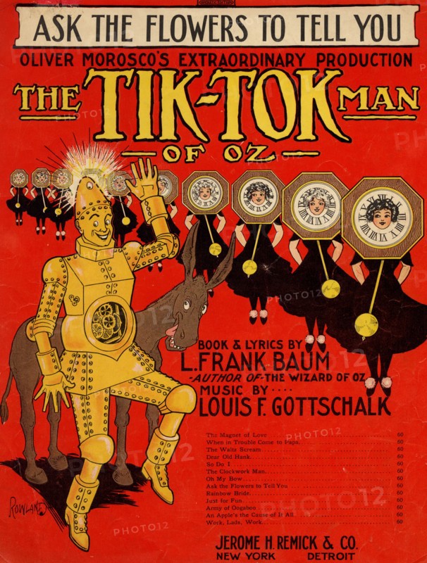 Ask the Flowers to Tell You  thaw Tik Tok man of Oz