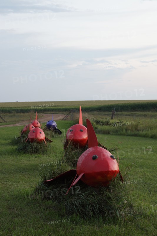 Weird red bugs with shark like appearance march across the plain; Located just off Interstate 90 in the South Dakota Drift Prairie, about 25 miles west of Sioux Falls. Many of the sculptures, in the style of industrial art, were made with scrap metal, old farm equipment, or railroad tie plates. 2006