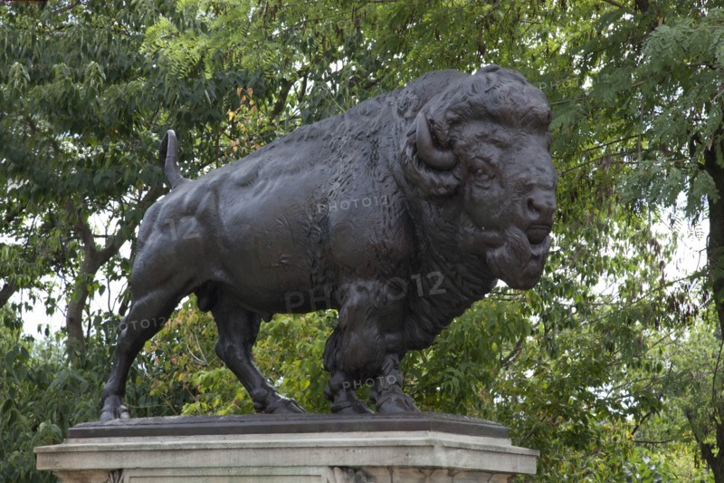 Buffalo statue Washington, D.C.  2010