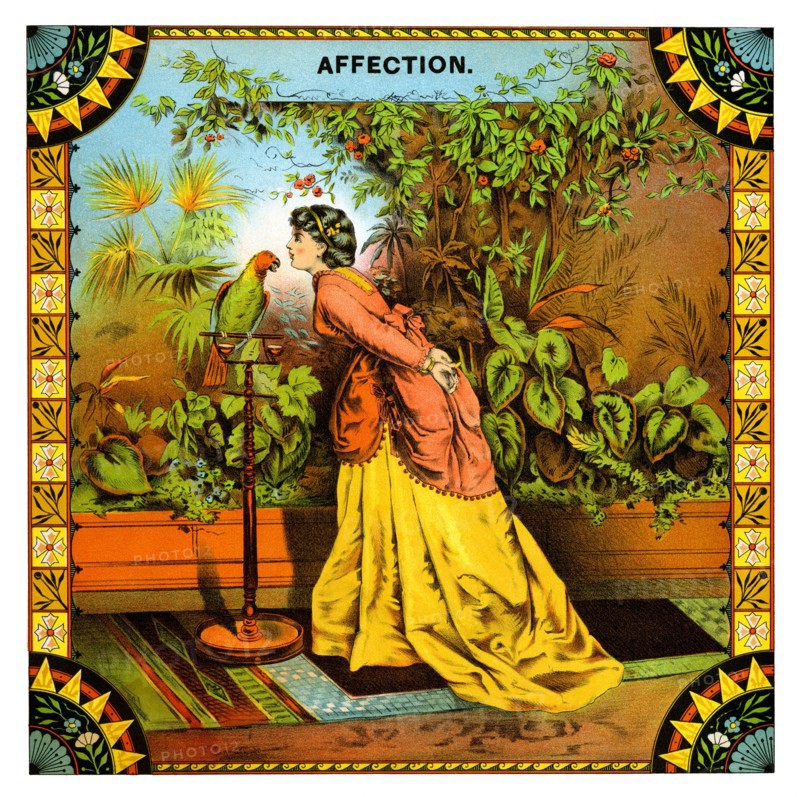 Affection