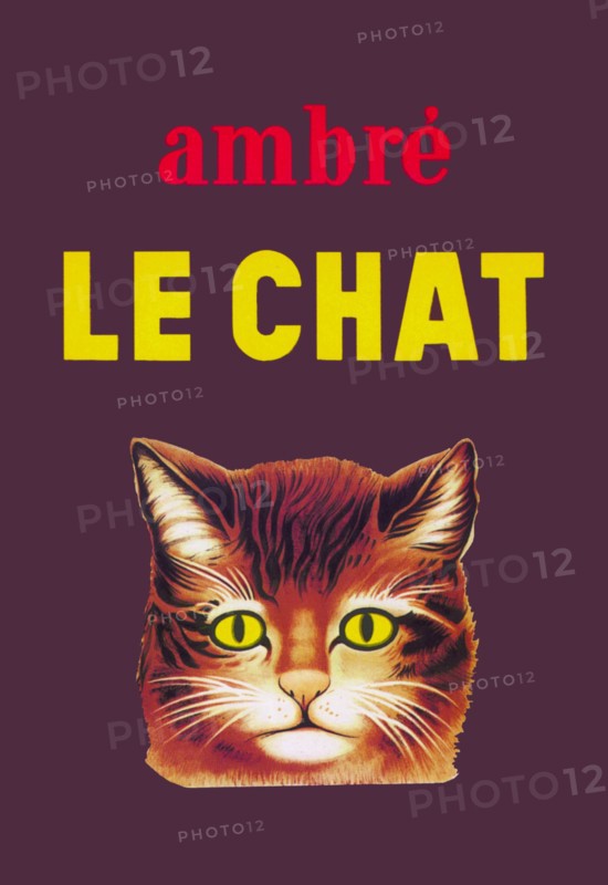 Ambre Le Chat