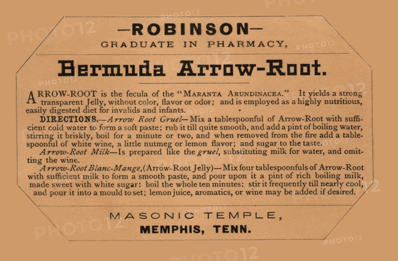 Bermuda Arrow-Root