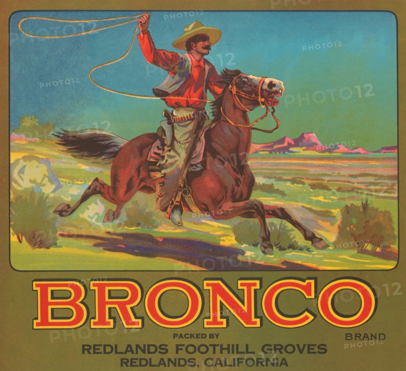 Bronco Brand Crate Label 1930