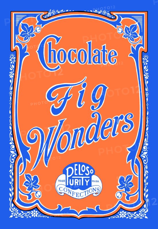 Chocolate Fig Wonders