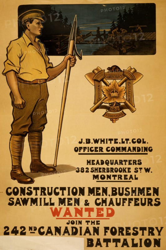Construction men, bushmen, sawmill men & chauffeurs wanted. Join the 242nd Canadian Forestry  1915
