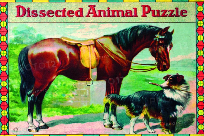 Dissected Animal Puzzle