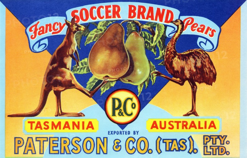 Fancy Soccer Brand Pears