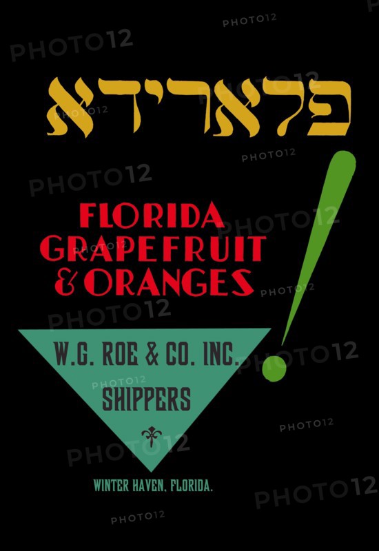 Florida Grapefruit and Oranges
