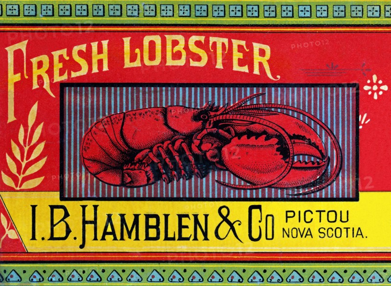 Fresh Lobster 1890