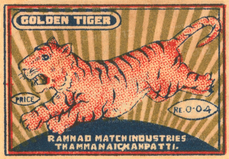 Golden Tiger