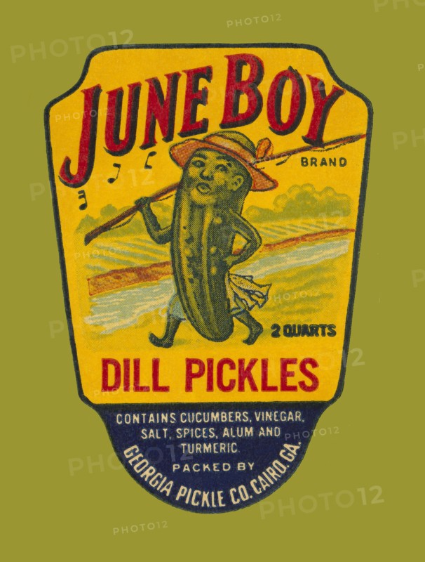 June Boy Dill Pickles