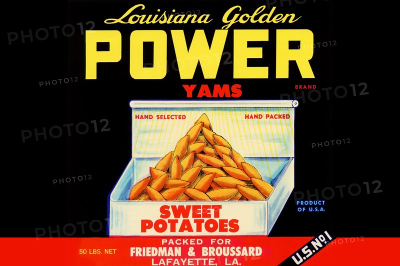 Louisiana Golden Power Yams