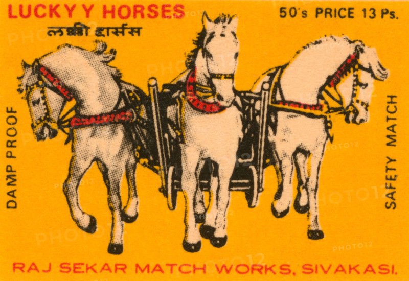 Lucky Horses