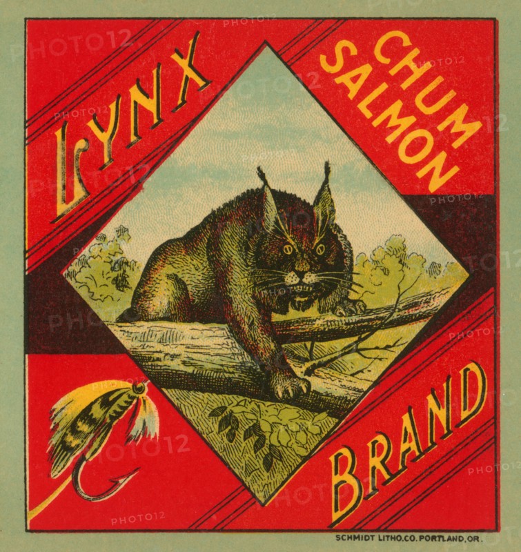 Lynx Brand Chum Salmon 1890