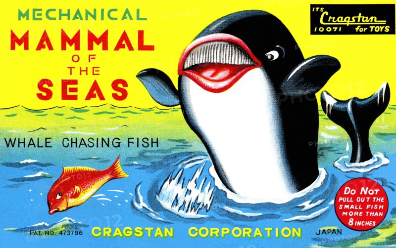 Mammal of the Seas: Whale Chasing Fish 1950