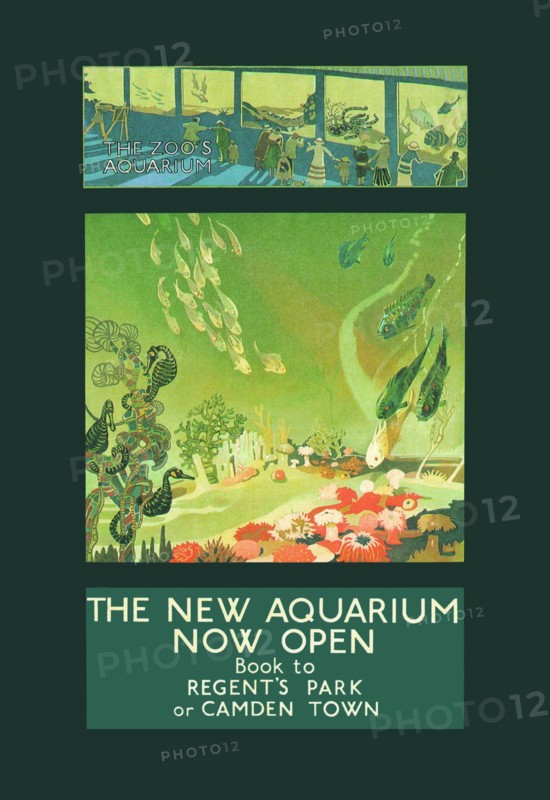 New Aquarium Now Open 1924