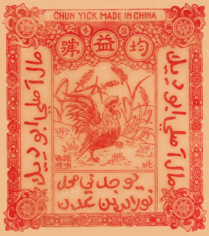 Rooster in the Form