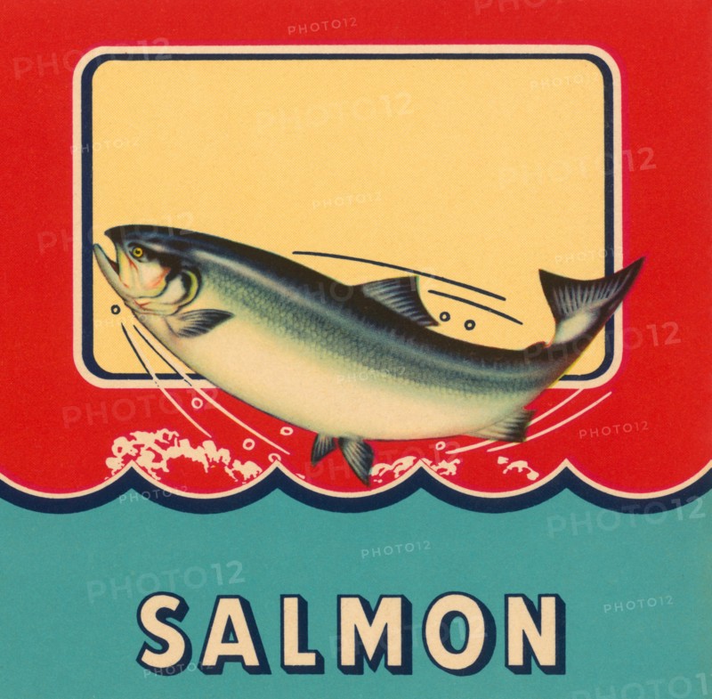 Salmon