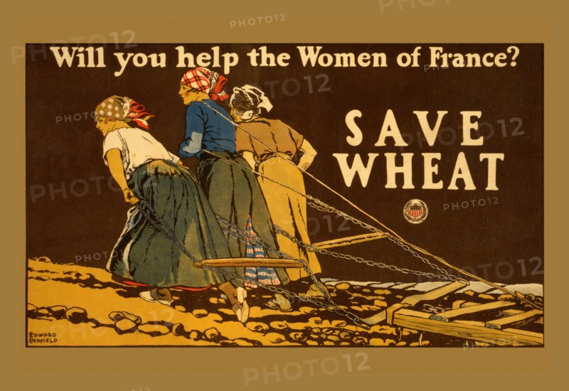 Save Wheat 1917