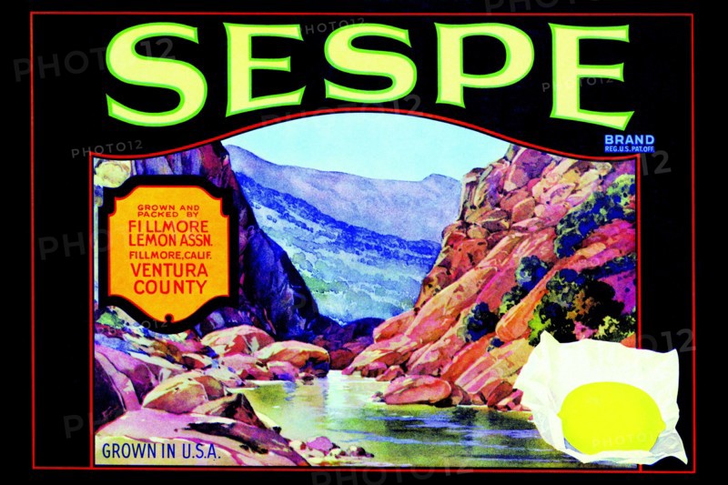 Sespe Brand Lemons