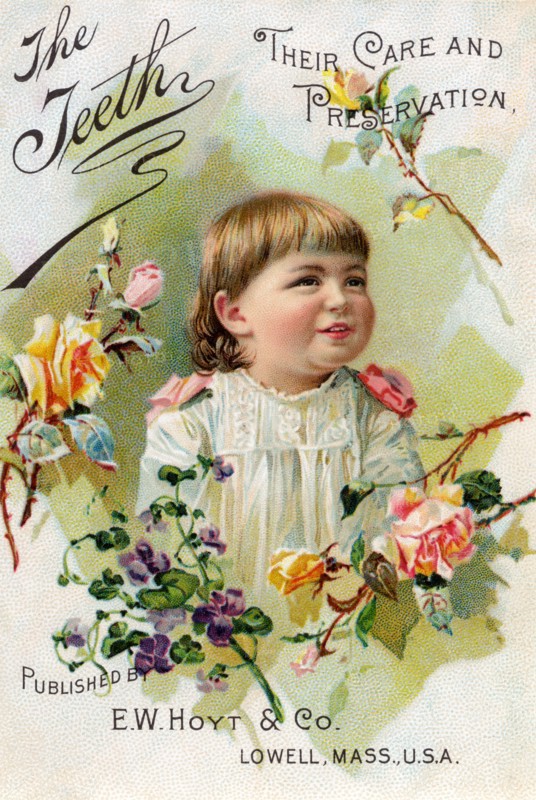 Teeth; Their Care and Preservation 1891
