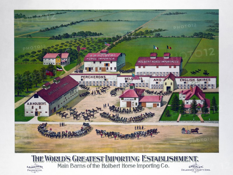 The world's greatest importing establishment 1900