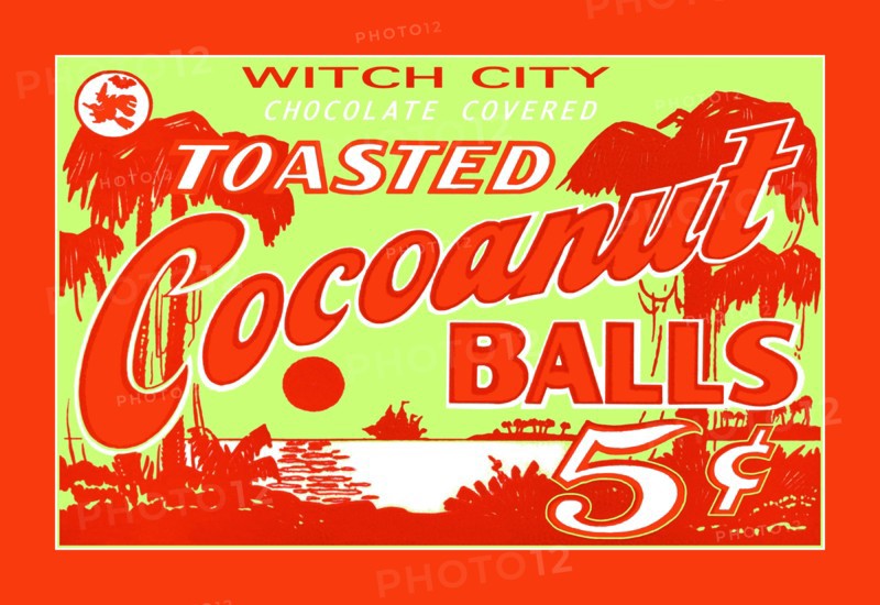 Toasted Cocoanut Balls #1