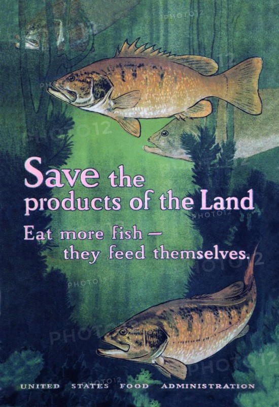United States Food Administration Advisory: Save the Products of the Land 1917