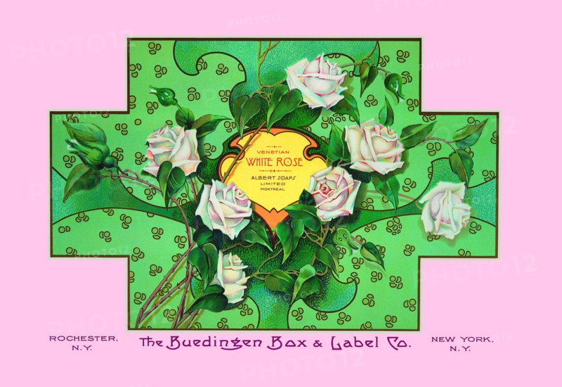 White Rose Soap 1900