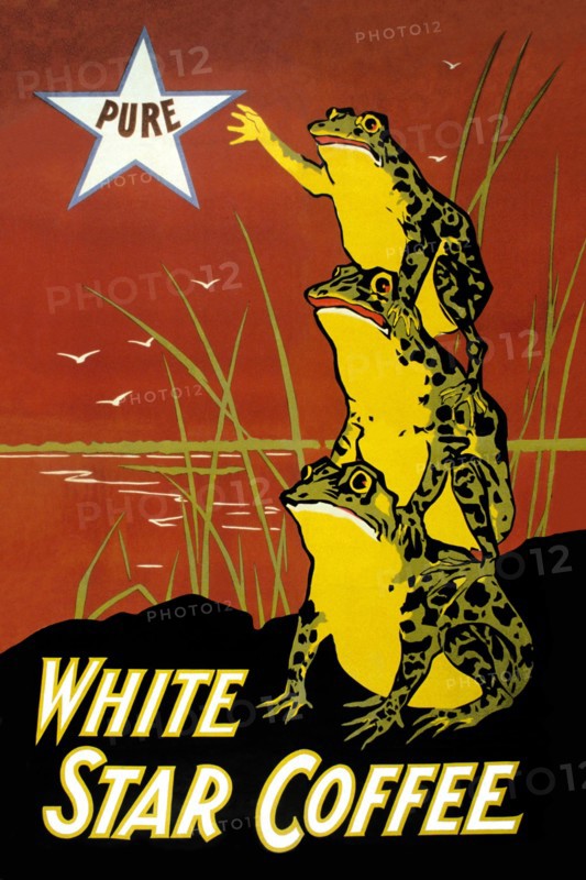 White Star Coffee 1899