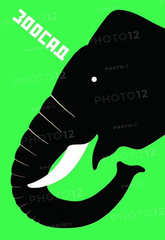 Zoo - Elephant 1928