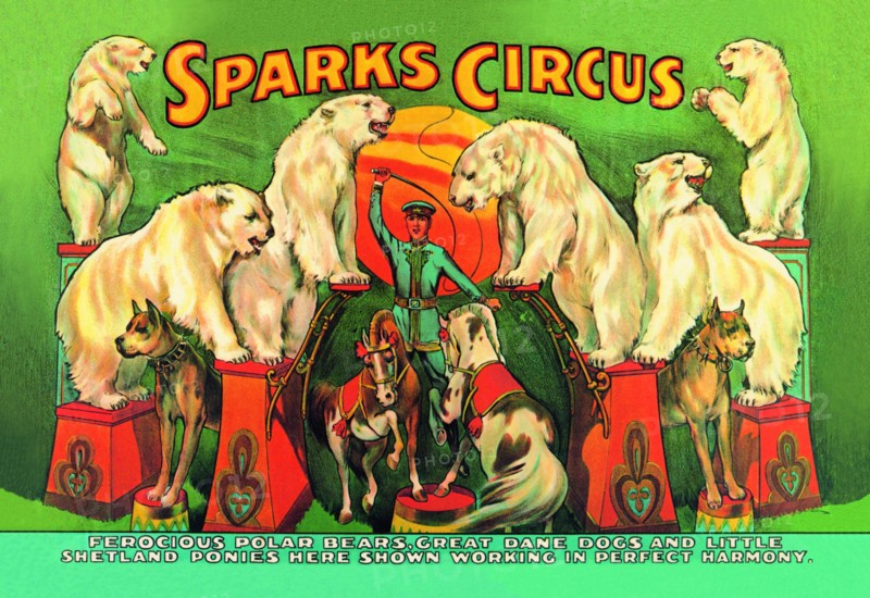 Sparks Circus