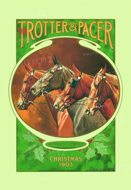 Trotter and Pacer, Christmas 1903 1903