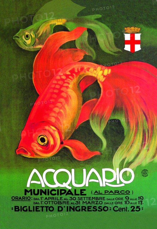 Acquario 1910