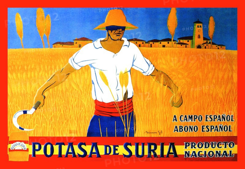 Potasa de Suria