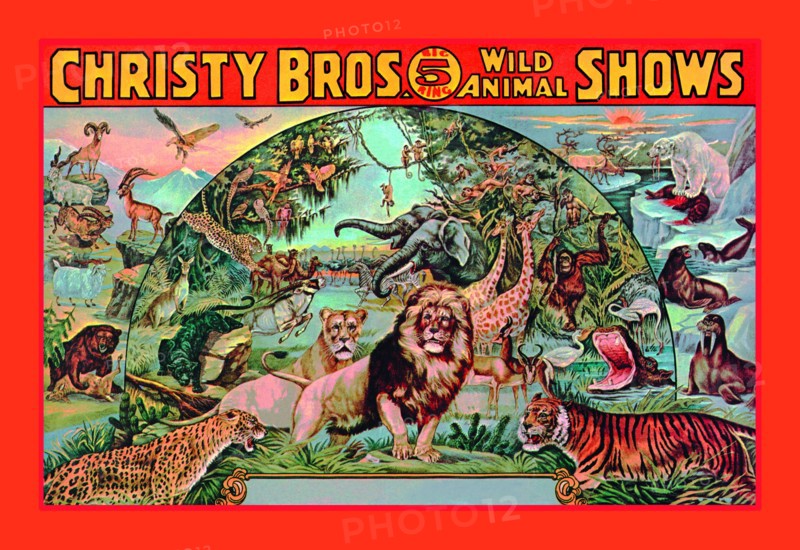 Christy Bros. 5 Ring Wild Animal Shows