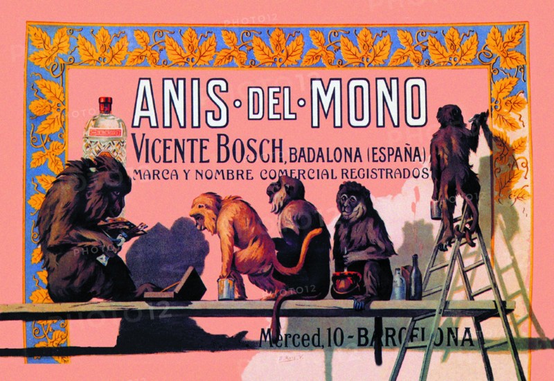 Anis del Mono
