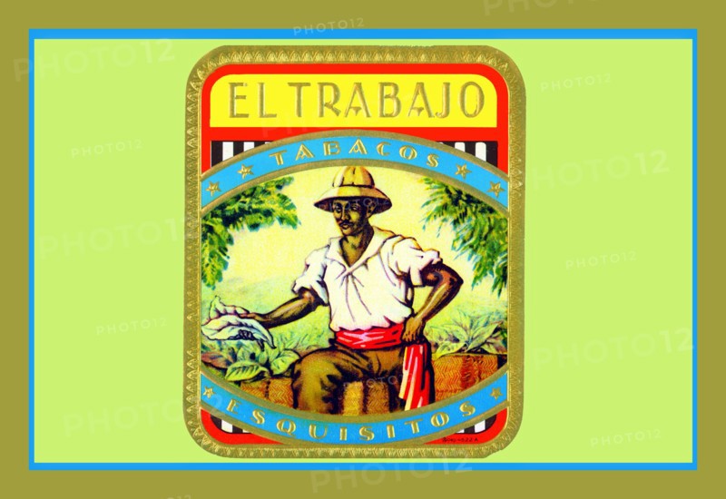 Trabajo - Tobacos Esquisitos