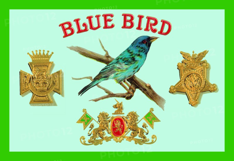 Blue Bird Cigars