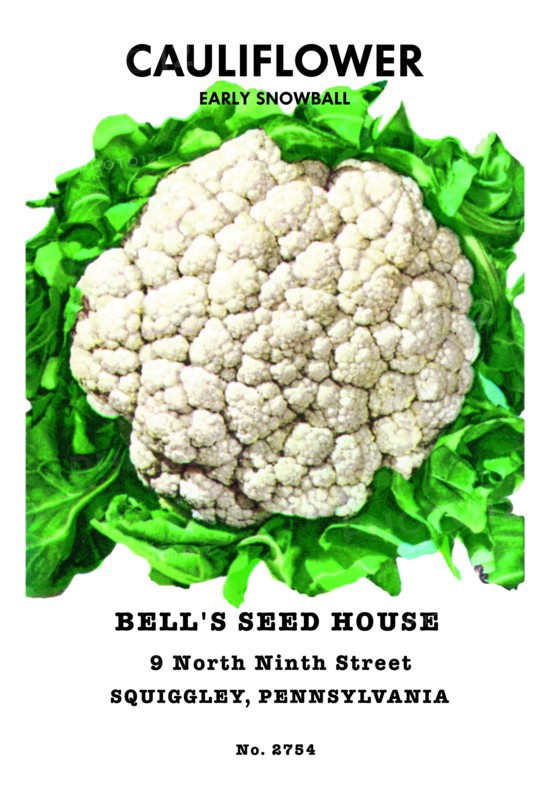 Cauliflower: Early Snowball