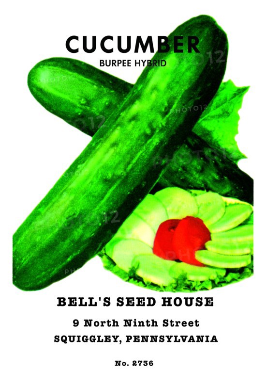 Cucumber: Burpee Hybrid