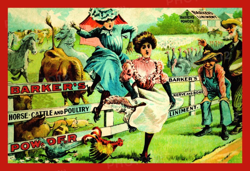 Bucking Broncos Chase Ladies 1879