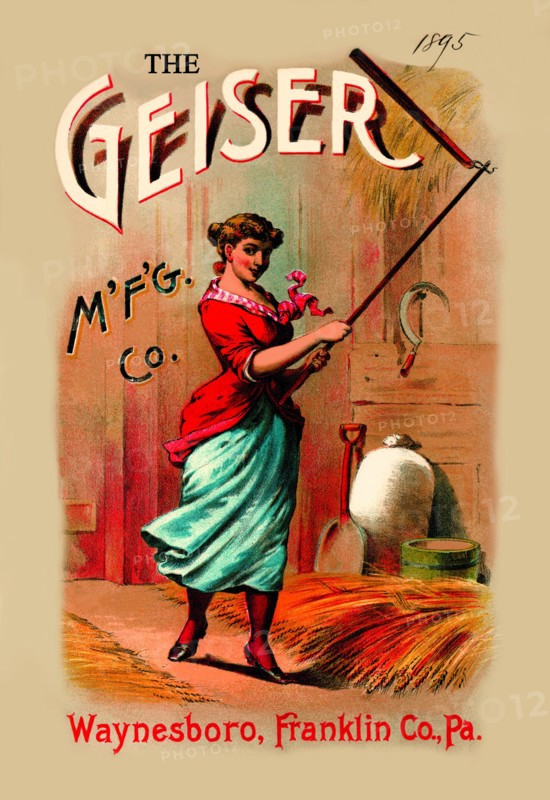 Geiser