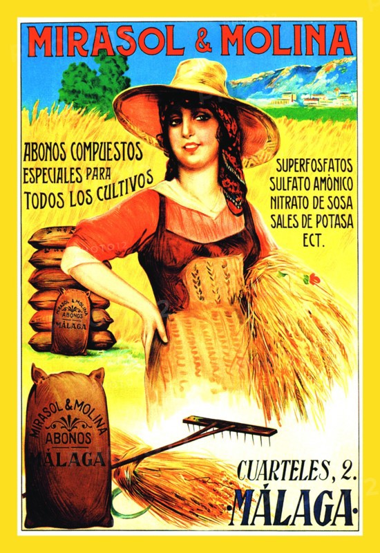 Mirasol and Morina 1900