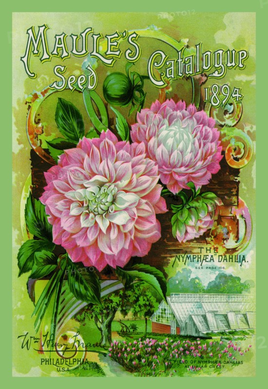 Maule's Seed Catalogue, 1894 1894