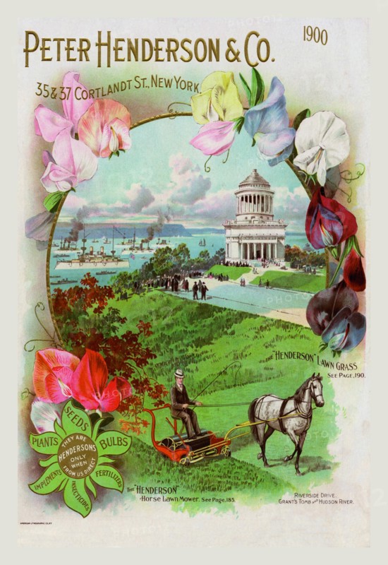 Peter Henderson and Co., 1900 1900