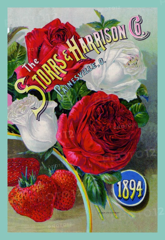 Storrs and Harrison Co., 1894 1894