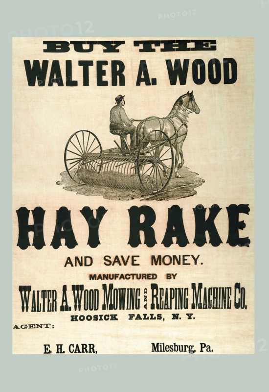 Buy the Walter A. Wood Hay Rake
