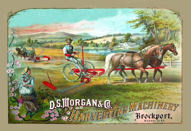 D.S. Morgan Harvesting Machinery